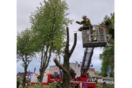 <b>CZERSK. Interwencja OSP KSRG Czersk - ul. Dworcowa. Pęknięte drzewo (ZDJĘCIA, WIDEO)</b>