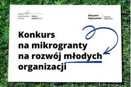 <b>Konkurs na mikrogranty na rozwój młodych organizacji</b>