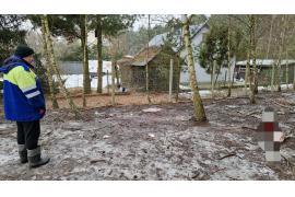 <b>GM. CZERSK. Pan Grzegorz z Gutowca: Kolejny atak. Tym razem było kilka wilków. Trzy łanie zagryzione (ZDJĘCIA)</b>