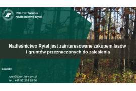 <b> Nadleśnictwo Rytel zainteresowane zakupem lasów i gruntów przeznaczonych do zalesienia </b>