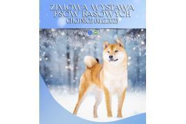 <b>Dwa dni wystawowe. Zapraszamy miłośników zwierząt (SOBOTA, NIEDZIELA)</b>