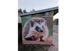 <b>GM. CZERSK. Zimorodek i jeż – kolejne murale na przystanku (ul. Tucholska). Mieszkańcy dziękują: Prawda, że są piękne?! (ZDJĘCIA)</b>