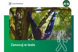 <b>Nadleśnictwo Czersk: Noc w lesie - na terenie Leśnictwa Odry</b>