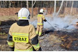 <b>GM. CZERSK. Sołectwo Złotowo – ul. Złotowska. Kolejny pożar traw. Jest bardzo sucho! (FOTO)</b>