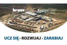 <b> KB RYTEL - OFERTY PRACY. TECHNOLOG W PRODUKCJI DRZEWNEJ, AUTOMATYK oraz PRAKTYKI i STAŻE (KONTAKT, SZCZEGÓŁY) </b> 