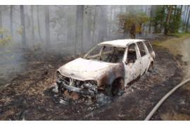 <b>GM. CZERSK. Pożar samochodu i poszycia leśnego (ZDJĘCIA)</b>