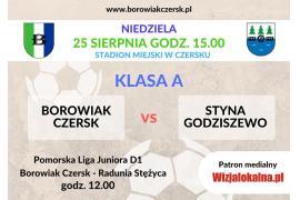 <b> Borowiak Czersk - Styna Godziszewo (niedziela, godz. 15.00)</b>