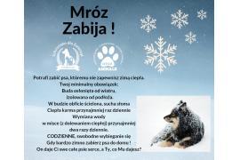 <b>MRÓZ ZABIJA! KOMUNIKAT SCHRONISKA DLA ZWIERZĄT</b>