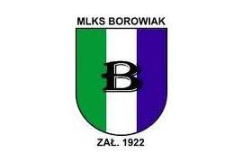 <b>Zebranie sprawozdawczo – wyborcze klubu MLKS Borowiak Czersk</b>