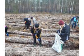 <b>NADLEŚNICTWO CZERSK. Prace odnowieniowe - w tym roku posadzimy od nowa ok. 133 hektary lasu. Ponad milion sadzonek! (FOTO)</b>