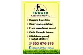<b> TRAWEX - Usługi na Twojej posesji (OFERTA) </b>