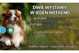 <b>Chojnice na czterech łapach! Weekendowa wystawa psich piękności w Parku 1000-lecia</b>
