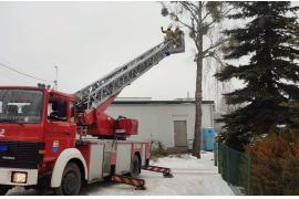 <b>GM. CZERSK. Interwencja druhów w Krzyżu (FOTO)</b>