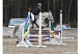 <b> GM. CZERSK.  Ogólnopolskie zawody jeździeckie w skokach przez przeszkody w Kwiekach (ZDJĘCIA, WIDEO) </b>