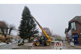 <b>CZERSK. Świąteczna choinka w Czersku – już stoi przy fontannie (ZDJĘCIA, WIDEO)</b>