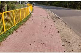 <b>GM. CZERSK. Ścieżka rowerowa do Fojutowa – prośba Osiedla Tucholskiego (FOTO)</b>