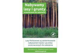 <b>NADLEŚNICTWO CZERSK. Nabywamy lasy i grunty przeznaczone do zalesienia</b>