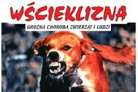 <b> GM. CZERSK. HARMONOGRAM SZCZEPIEŃ PSÓW PRZECIWKO WŚCIEKLIŹNIE </b>