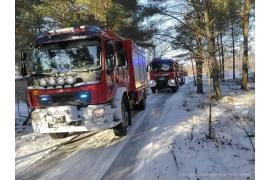 <b>GM. CZERSK. Pożar domku letniskowego. Z wnętrza ewakuowała się kobieta z ośmiomiesięcznym dzieckiem </b>