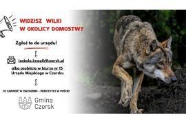 <b>GM. CZERSK. Widzisz wilka blisko domu? Zgłoś to! </b>
