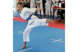 <b>Aurelia Kołodziej z Rytla mistrzynią w KATA w Międzywojewódzkich Mistrzostwach Młodzików w Karate Tradycyjnym. Maja i Franciszek z sekcji Karsin na podium. GRATULACJE! (ZDJĘCIA)</b>