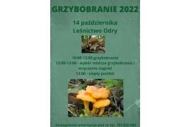 <b>NADLEŚNICTWO CZERSK.  GRZYBOBRANIE 2022. ZAPROSZENIE</b>