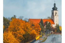 <b>GM. CZERSK. Piękno jesieni jest tak blisko… (ZDJĘCIA)</b>