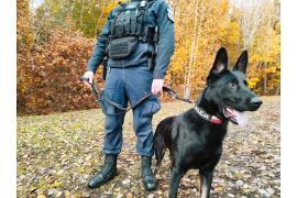 <b> POW. STAROGARDZKI. UGO ODNALAZŁ ZAGINIONEGO MĘŻCZYZNĘ (ZDJĘCIA) </b>