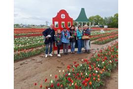 <b>GM. CZERSK. Stowarzyszenie Malachinki: odwiedziliśmy urokliwe miejsce `O rany, tulipany`! (ZDJĘCIA)</b>