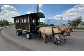 <b> CZERSK. Pan Jan ze Śliwic również był na pielgrzymce (FOTO, FILM) </b>