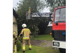 <b>GM. CZERSK. Strażacy interweniują - usuwają skutki wczorajszej burzy (ZDJĘCIA)</b>