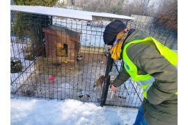 <b>GM. CZERSK. Trwają kontrole warunków utrzymania psów w okresie zimowym. Jeśli zauważycie nieprawidłowości - prośba o kontakt (ZDJĘCIA, APEL)</b>