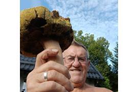 <b>GM. CZERSK. W lasach wysyp grzybów! Zbigniew Krzoska zaprasza na grzybobranie – zobaczcie jego zbiory (ZDJĘCIA)</b>