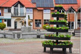 <b>CZERSK. Mimo deszczowej aury — centrum Czerska kwitnie (ZDJĘCIA)</b>