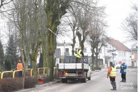 <b>CZERSK. Zabiegi pielęgnacyjne zieleni miejskiej ul. Dworcowej</b>