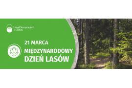 <b>POMORSKIE. Jutro Międzynarodowy Dzień Lasów (INFOGRAFIKA) </b>