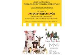 <b>CZERSK. ORSZAK TRZECH KRÓLI - PROGRAM (ZAPROSZENIE, M.IN. DLA WŁAŚCICIELI ZWIERZĄT)</b>