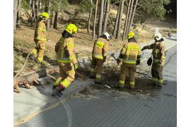 <b>CZERSK. Silny wiatr powalił drzewo – interwencja strażaków (ZDJĘCIA)</b>