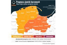 <b>POW. CHOJNICKI. Uwaga! Burze i silny wiatr w godzinach wieczornych i nocnych</b>
