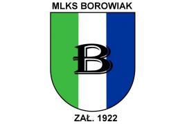 <b> MLKS BOROWIAK CZERSK - nabór zawodników do drugiej drużyny seniorów w piłce nożnej </b>