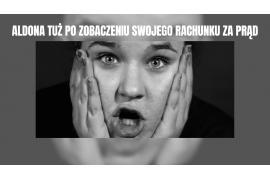 ARTYKUŁ REKLAMOWY