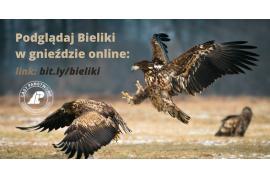 <b>Spotkanie sympatyków Bielików Online z Nadleśnictwa Woziwoda</b>