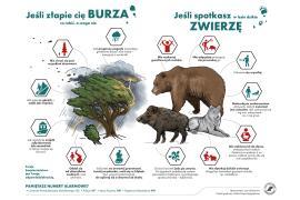 <b>Nadleśnictwo Czersk. Jeśli złapie cię burza? Jeśli spotkasz zwierzę? (INFORGAFIKA)</b>