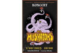 <b>CZARNA WODA. Koncert zespołu THE MUSHROOMS</b>