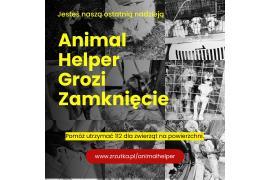 <b> POMORSKIE. Animal Helper grozi zamknięcie! Jesteś naszą ostatnią nadzieją! TRWA ZBIÓRKA PIENIĘDZY! (WIDEO)</b>