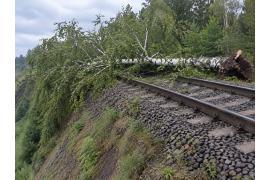 <b>GM. CZERSK. Drzewo na torach linii kolejowej nr 201. Akcja strażaków z OSP Wieck i OSP Łąg</b>