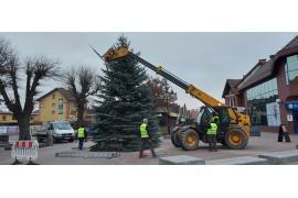 <b> CZERSK. Na Placu Ostrowskiego stoi już świąteczna choinka. Rozkładana jest też bombka (FOTO)</b>