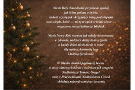 <b>ŻYCZENIA ŚWIĄTECZNE od Nadleśnictwa Czersk</b>