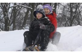 <b>POW. CHOJNICKI. 7-latek uderzył w drzewo, 11-latka wywróciła się – niebezpieczne zdarzenia na sankach. Policja apeluje o zachowanie szczególnej ostrożności</b>