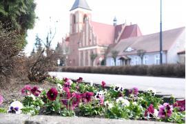 <b> CZERSK. AZK - odnowione ławki i zasadzone bratki w centrum miasta (ZDJĘCIA)</b>